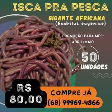 PROMOÇÃO DE ISCA PRA PESCA!!!