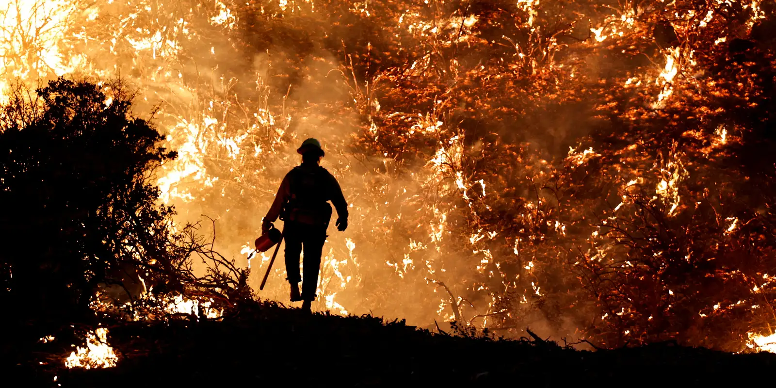 Ibama identifica 242 pessoas responsáveis por incêndios em 2024